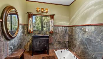 64-645  Mamalahoa Hwy Puukapu Hmstd, South Kohala home - photo 6 of 24