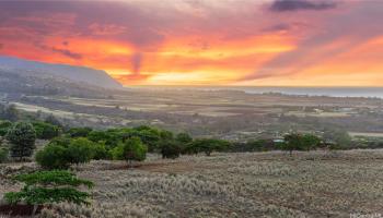 65-283 Kaukonahua Road 22 Waialua, Hi vacant land for sale - photo 3 of 25