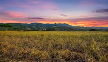 65-283 Kaukonahua Road 27 Waialua, Hi vacant land for sale - photo 1 of 25