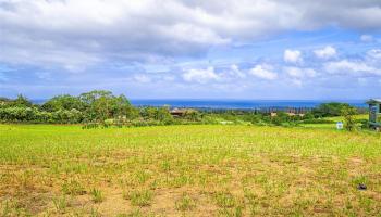 65-500 Kaukonahua Road 2 Waialua, Hi vacant land for sale - photo 1 of 1