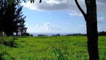 65-889 Kaukonahua Road  Waialua, Hi vacant land for sale - photo 6 of 12
