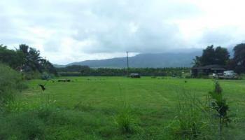 66-139 Achiu Ln  Haleiwa, Hi vacant land for sale - photo 6 of 6