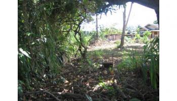 66148 Niuula Rd  Haleiwa, Hi vacant land for sale - photo 6 of 8