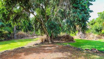 66-193 Kamehameha Hwy  Haleiwa, Hi vacant land for sale - photo 2 of 5