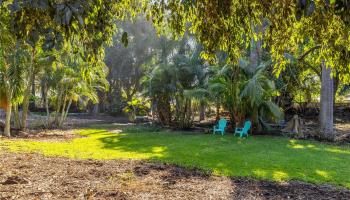 66-193 Kamehameha Hwy  Haleiwa, Hi vacant land for sale - photo 2 of 8