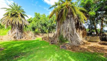 66-193 Kamehameha Hwy  Haleiwa, Hi vacant land for sale - photo 3 of 5