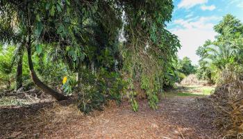 66-193 Kamehameha Hwy  Haleiwa, Hi vacant land for sale - photo 4 of 5