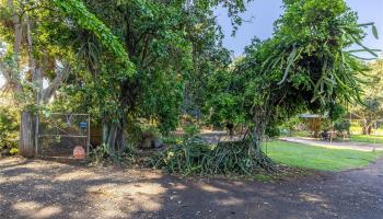 66-193 Kamehameha Hwy  Haleiwa, Hi vacant land for sale - photo 6 of 8