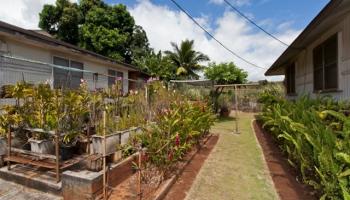 66-230 Kamehameha Hwy Haleiwa - Multi-family - photo 4 of 5 66-230 Kamehameha Hwy Haleiwa - Multi-family - photo 4 of 5