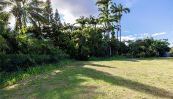 66-284 Waialua Beach Road D Haleiwa, Hi vacant land for sale - photo 4 of 13