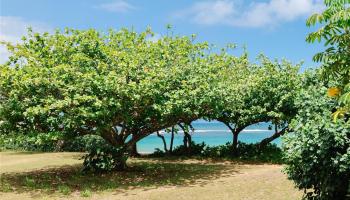 Haleiwa Surf condo # A203, Haleiwa, Hawaii - photo 4 of 24 Haleiwa Surf condo # A203, Haleiwa, Hawaii - photo 4 of 24
