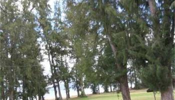 68085 Au St Waialua, North Shore home - photo 1 of 1 68085 Au St Waialua, North Shore home - photo 1 of 1