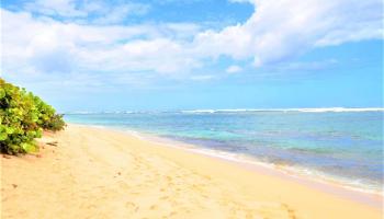 68-124 Au Street Waialua - Rental - photo 1 of 15 68-124 Au Street Waialua - Rental - photo 1 of 15