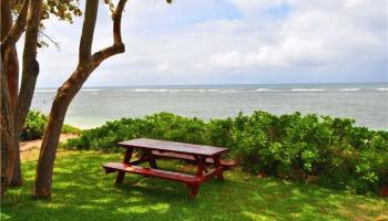 68-235 Crozier Loop Waialua - Rental - photo 1 of 17 68-235 Crozier Loop Waialua - Rental - photo 1 of 17