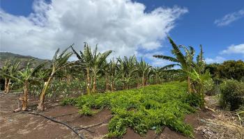 68-670 Farrington Hwy 10 Waialua, Hi vacant land for sale - photo 3 of 11