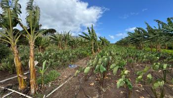 68-670 Farrington Hwy 10 Waialua, Hi vacant land for sale - photo 4 of 11