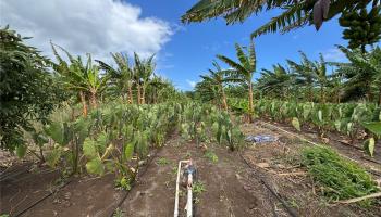 68-670 Farrington Hwy 10 Waialua, Hi vacant land for sale - photo 6 of 11