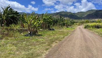 68-670 Farrington Hwy 11 Waialua, Hi vacant land for sale - photo 4 of 12