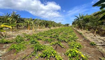 68-670 Farrington Hwy 11 Waialua, Hi vacant land for sale - photo 6 of 12