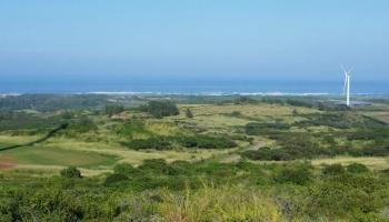 68 Acres Kamehameha Hwy  Kahuku, Hi vacant land for sale - photo 5 of 16