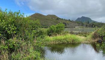 N/A condo # B1, Kailua, Hawaii - photo 1 of 12