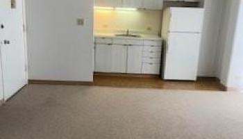 725 Piikoi Street Honolulu - Rental - photo 4 of 6