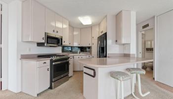 Holiday Village condo # P2, Honolulu, Hawaii - photo 3 of 25