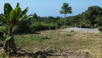 79-1114 Kao Road  Holualoa, Hi vacant land for sale - photo 1 of 1