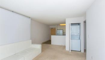 801 South St Honolulu - Rental - photo 3 of 25