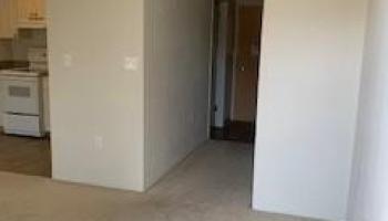 801 South St Honolulu - Rental - photo 6 of 11