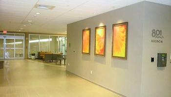 801 South Street Honolulu - Rental - photo 2 of 20