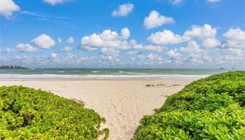 824  N Kalaheo Ave Beachside, Kailua home - photo 5 of 22