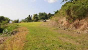 82-5929B Napoopoo Rd  Captain Cook, Hi vacant land for sale - photo 4 of 10