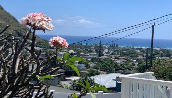 844 Ahuwale Street Aina Haina Area, Diamond Head home - photo 3 of 25 844 Ahuwale Street Aina Haina Area, Diamond Head home - photo 3 of 25