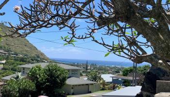 844 Ahuwale Street Aina Haina Area, Diamond Head home - photo 5 of 25