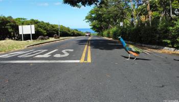 Makaha Valley Pltn condo # 94B, Waianae, Hawaii - photo 4 of 23