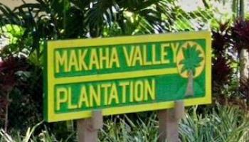 Makaha Valley Pltn condo # 936B, Waianae, Hawaii - photo 1 of 1