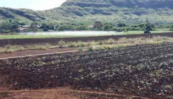 85-1177 Waianae Valley Road Waianae, Hi 96792 vacant land - photo 3 of 3 85-1177 Waianae Valley Road Waianae, Hi 96792 vacant land - photo 3 of 3
