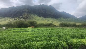 85-1177 Waianae Valley Road  Waianae, Hi vacant land for sale - photo 5 of 5