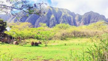 85-1759B Waianae Valley Road Waianae, Hi 96792 vacant land - photo 2 of 25 85-1759B Waianae Valley Road Waianae, Hi 96792 vacant land - photo 2 of 25