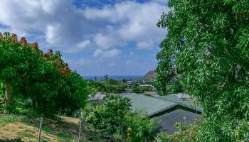 852  Kainoa Place Aina Haina Area, Diamond Head home - photo 2 of 9