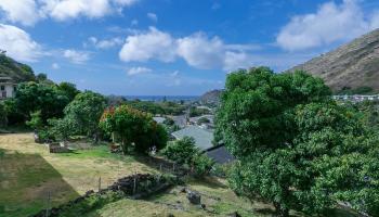 852  Kainoa Place Aina Haina Area, Diamond Head home - photo 3 of 9