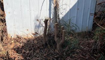 85-403 Pulapula Place  Waianae, Hi vacant land for sale - photo 6 of 8