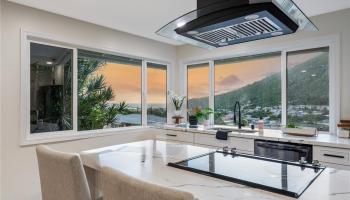 855  Kainoa Place Aina Haina Area, Diamond Head home - photo 5 of 25