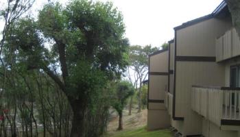 Hillside Terrace 2 condo #, , Hawaii - photo 2 of 18 Hillside Terrace 2 condo #, , Hawaii - photo 2 of 18