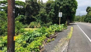 86 Hawaii Belt Rd  Captain Cook, Hi vacant land for sale - photo 4 of 5