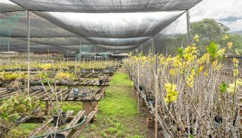 86-347 Halona Road Waianae Oahu commercial real estate photo3 of 22