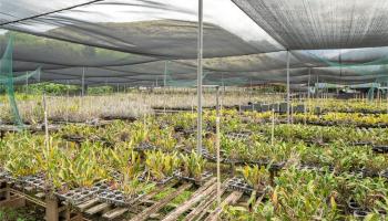 86-347 Halona Road Waianae Oahu commercial real estate photo4 of 22