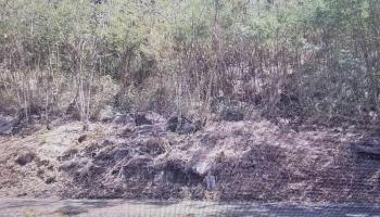 869 Nana Honua St  Honolulu, Hi vacant land for sale - photo 2 of 4