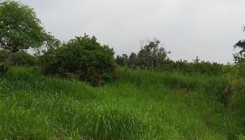 87-2720 Hawaii Belt Road  Captain Cook, Hi vacant land for sale - photo 3 of 5